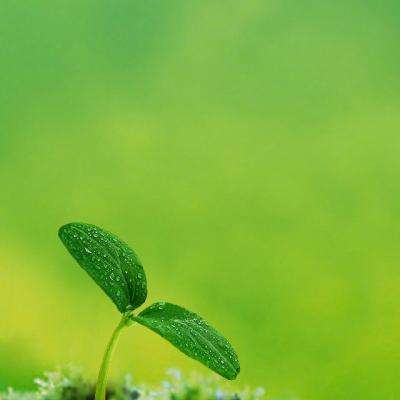 海科斯乱斗最新版下载
