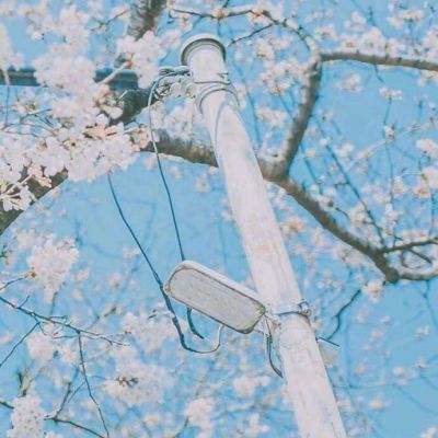 奔跑吧主公九游版下载